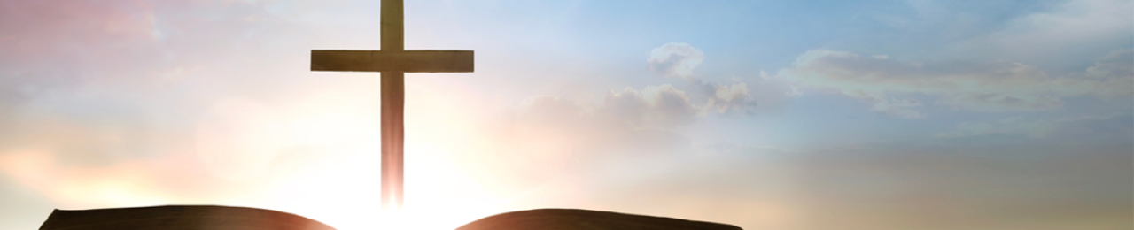 banner2