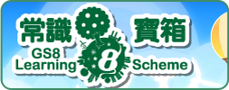 常識 8 寶箱